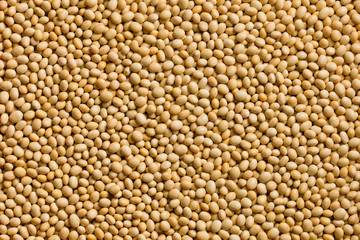 soya beans background