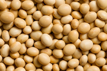 soya beans background