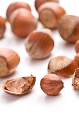 hazelnuts