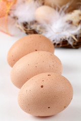 Brown chicken eggs