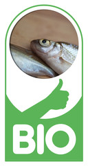 Bio poisson pêche alimentation sain santé alimentaire