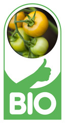 Bio tomate fruit alimentation sain santé alimentaire