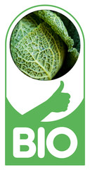 Bio légume chou alimentation sain santé alimentaire
