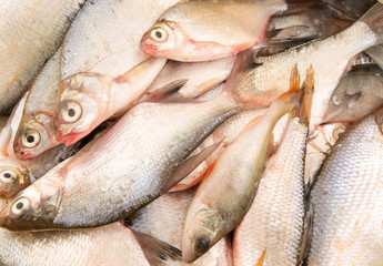 Fresh fish background