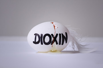 Dioxin im Ei