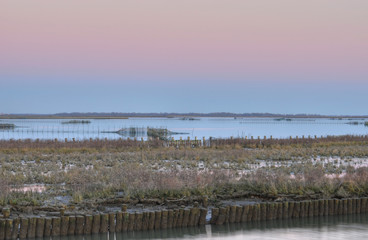 laguna veneta - Venezia - Italy