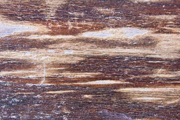 Naklejka premium Texture of old wood