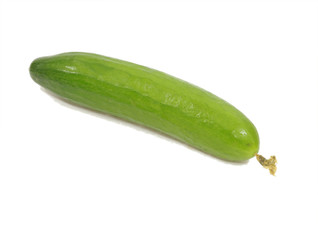 Cucumber