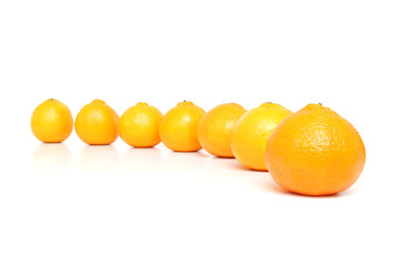 Mandarins isolated on white