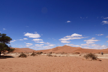 Désert du Namib