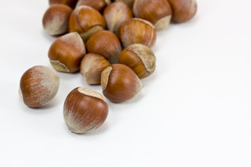 hazelnuts