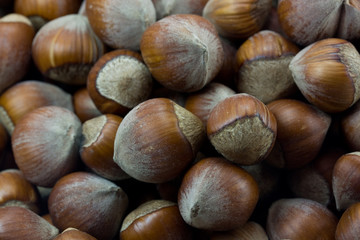 hazelnuts