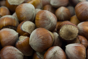 hazelnuts