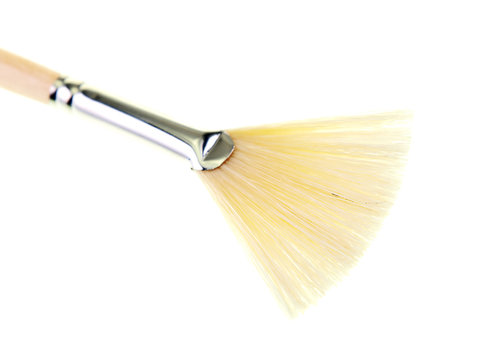 fan painting brush
