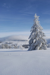 Winterlandschaft