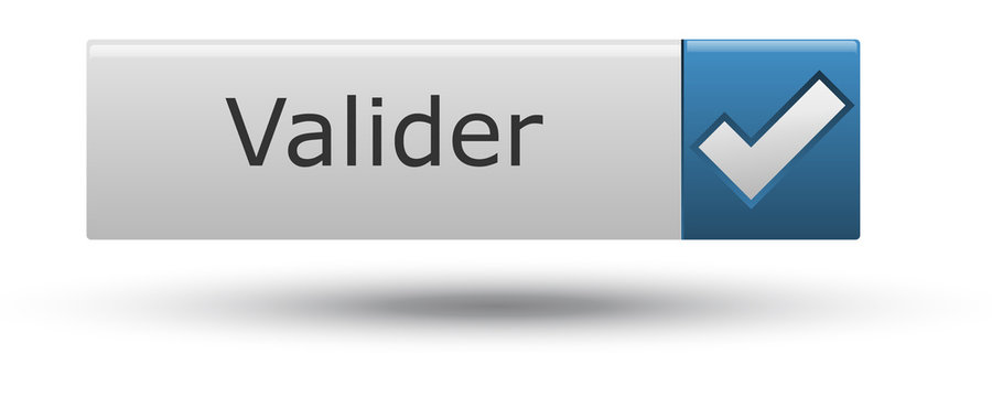 Symbole vectoriel coche validation 16