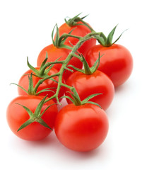 Ripe branch tomato