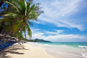 Tropical beach under blue sky. Thailand