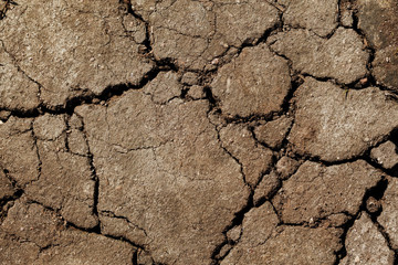 Earth dried up in drought