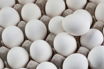 Large number of white eggs