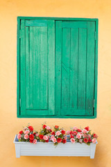 Green old wood window