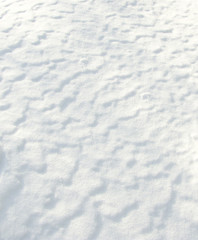 texture of the snow