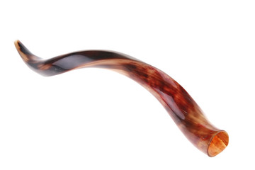 ram horn ( shofar )