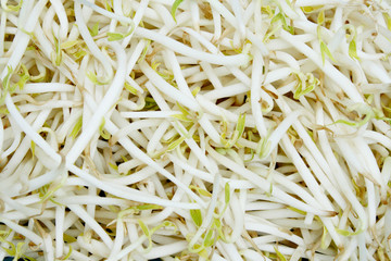 Beansprout