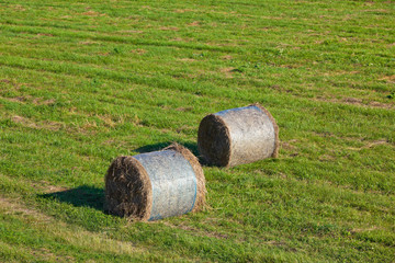 Hay bales