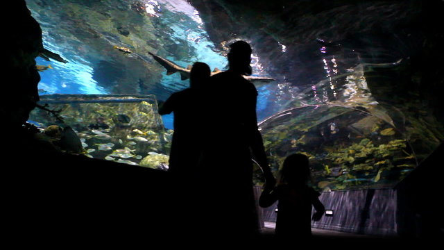 Family At Aquarium 2