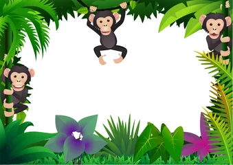 Papier Peint Lavable Zoo Chimpanzé dans la jungle