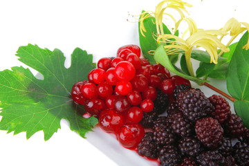 blackberry, cherry and cranberry