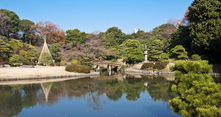 Fototapeta na wymiar Rikugien Jardin ? Tokio - Japonia