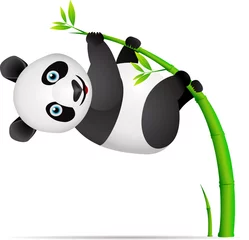 Crédence de cuisine en verre imprimé Zoo Panda et bambou
