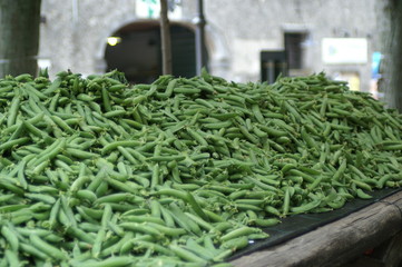 Bisi