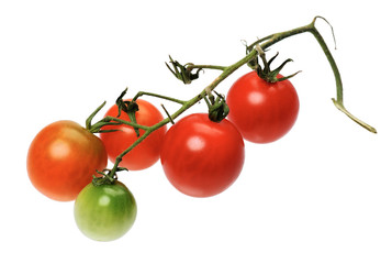 Red tomatto, isolated