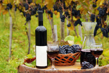 vineyard with red wine bottle and wineglasses