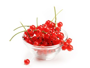 Red currant