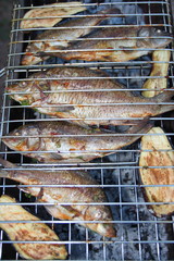 Grilled European carps