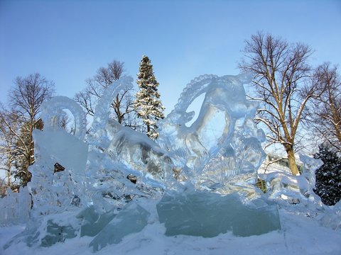 Sculpture de glace