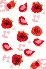 Mural con rosas