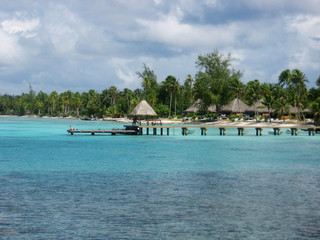ponton,bridge,brucke,ocean,palmier,mer