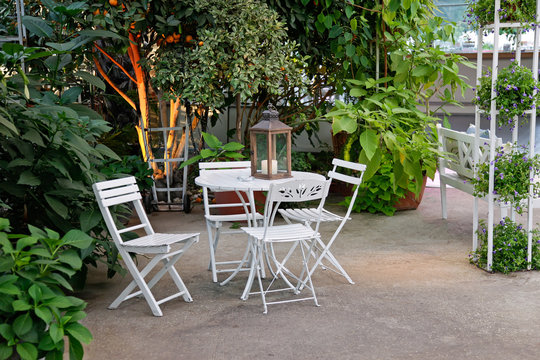 White table and chairs in beautiful garden.