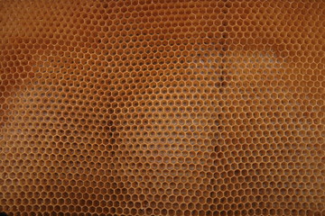 beeswax wirhout honey