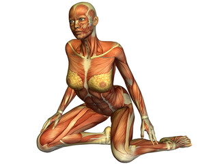 Muskelaufbau einer knienden Frau