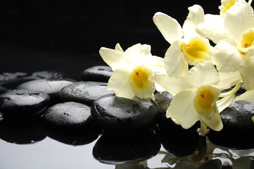 Zen stones and orchids with water drops