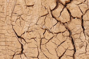 Dry cracked earth texture