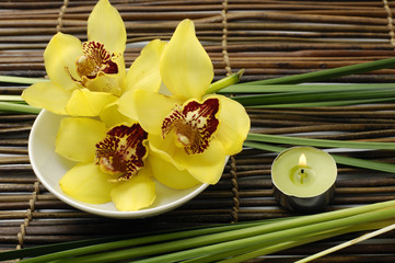 bowl of orchid and candle -spa background