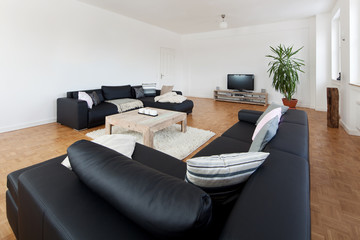 geräumiges modernes wohnzimmer
