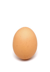 Single egg on white background